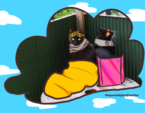 My two cats photoshopped to look like Eraserhead and Present Mic. Kalma, a black cat, edited with a yellow sleepingbag covering his lower body, a scarf around his neck, a fake scar and yellow goggles. My black and white cat Njord is edited to wear Mic's directional speaker and sunglasses, a DJ booth in front of her. A cloud shape is drawn around them, the outside of the cloud shape is coloured blue with clouds.